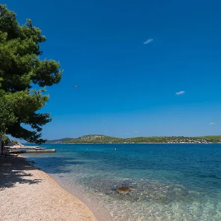 Gjardini - Sparadici *