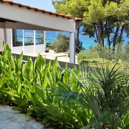 Gjardini - Sparadici Apartament *