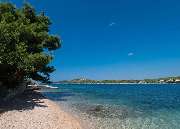 Gjardini - Sparadici *